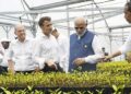 PM Modi visits Mangrove forests on the sidelines of G-20 Summit in Bali