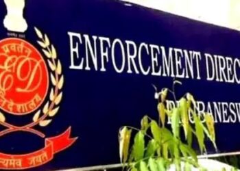 ED searches 17 premises across Mumbai & Nagpur in smuggling of Betel nuts