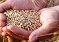 Centre names its new free food grain scheme Pradhan Mantri Garib Kalyan Ann Yojana