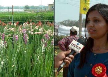 3-Day Pusa Krishi Vigyan Mela from March 2
