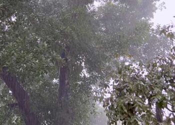 Heavy rain lashes parts of Delhi-NCR, IMD predicts more showers