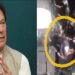 Massive protests in Pakistan over Imran Khan’s arrest