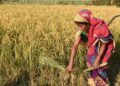 Indian Council of Agricultural Research signs a MOU with Amazon Kisan to Empower Farmers
