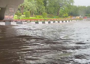Delhi wakes up to rain, more showers likely over next 2 days- IMD