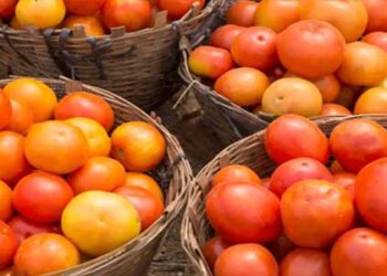 Tomato, other commodity prices go north & spoil kitchen budget