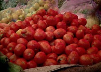 Tomato prices continue to soar; crosses Rs 120 per kg in Delhi