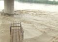 Heavy rains continue to disrupt normal life in Uttarakhand; IMD predicts some relief in Himachal Pradesh, Delhi, Punjab and Haryana