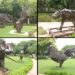 Delhi: West-to-Wonder #G20 park becomes center of attraction for people
