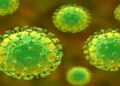 Kerala steps up measures to check spread of Nipah virus infections as positive cases rise to 4; Neighbouring states also on alert