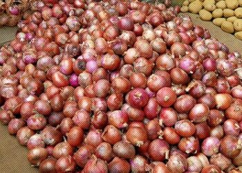 Onion prices double in Delhi-NCR amid festive season