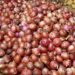 Onion prices double in Delhi-NCR amid festive season