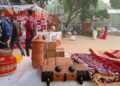 Delhi pushes for Eco-friendly Diwali festivities