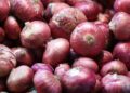 Onion export banned till 31st March; Centre directs NCCF and NAFED to procure 7 lakh tonnes of onion for the buffer from Farmers