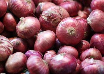 Onion export banned till 31st March; Centre directs NCCF and NAFED to procure 7 lakh tonnes of onion for the buffer from Farmers