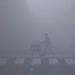 Delhi coldest morning as capital shivers in cold wave, nearly 50 flights; 30 trains affected