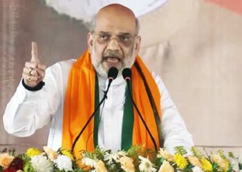 ‘Mamata Banerjee misleading people on CAA’: Amit Shah in West Bengal