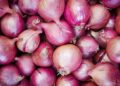 Centre allows export of 99,150 MT onion to six countries Bangladesh, UAE, Bhutan, Bahrain, Mauritius and Sri Lanka