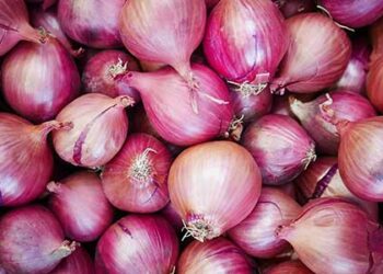 Centre allows export of 99,150 MT onion to six countries Bangladesh, UAE, Bhutan, Bahrain, Mauritius and Sri Lanka
