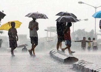 Light to moderate rainfall warnings issued for Central India amid thunderstorms: IMD
