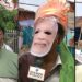 PM Modi’s wave to turn into victory the Lok Sabha Election 2024; Watch