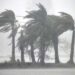 Cyclone Remal: Exemplary coordination of ICG with Central & State agencies prevents loss of life or property at sea off West Bengal coast
