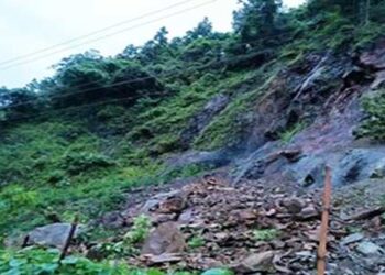 7 Indians dead as tourist buses fall into swollen river after landslide in Nepal