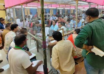 Bypoll Results: INDIA bloc win 6 of 13 seats, leads in 4; BJP bags 1 in Himachal