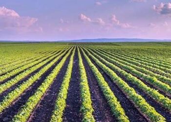 Cabinet accords approval for progressive expansion of Central Sector Scheme of ‘Agriculture Infrastructure Fund’