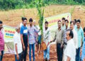 Over 17 Lakh Saplings Planted Across 15 States in Mega Oil Palm Plantation Drive 2024
