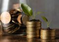 Finance Commission grants released for RLBs in Haryana, Tripura, Mizoram