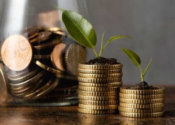 Finance Commission grants released for RLBs in Haryana, Tripura, Mizoram