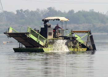 Yamuna Clean-Up Begins In Delhi: BJP in action mode