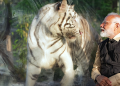 PM Modi inaugurates Vantara, a unique wildlife conservation, rescue and rehabilitation initiative