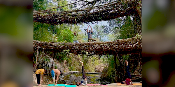 Bridging Wellness and Heritage: Yoga Takes Over Meghalaya’s Living Root Marvel